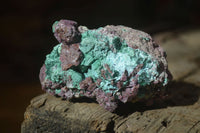 Natural Pink Salrose Cobaltion Dolomite Specimens x 6 From Kakanda, Congo - Toprock Gemstones and Minerals 