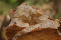 Natural Golden Limonite Quartz Clusters  x 3 From Zambia - TopRock
