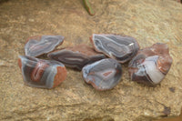 Polished River Agate Nodules  x 6 From Sashe River, Zimbabwe - Toprock Gemstones and Minerals 