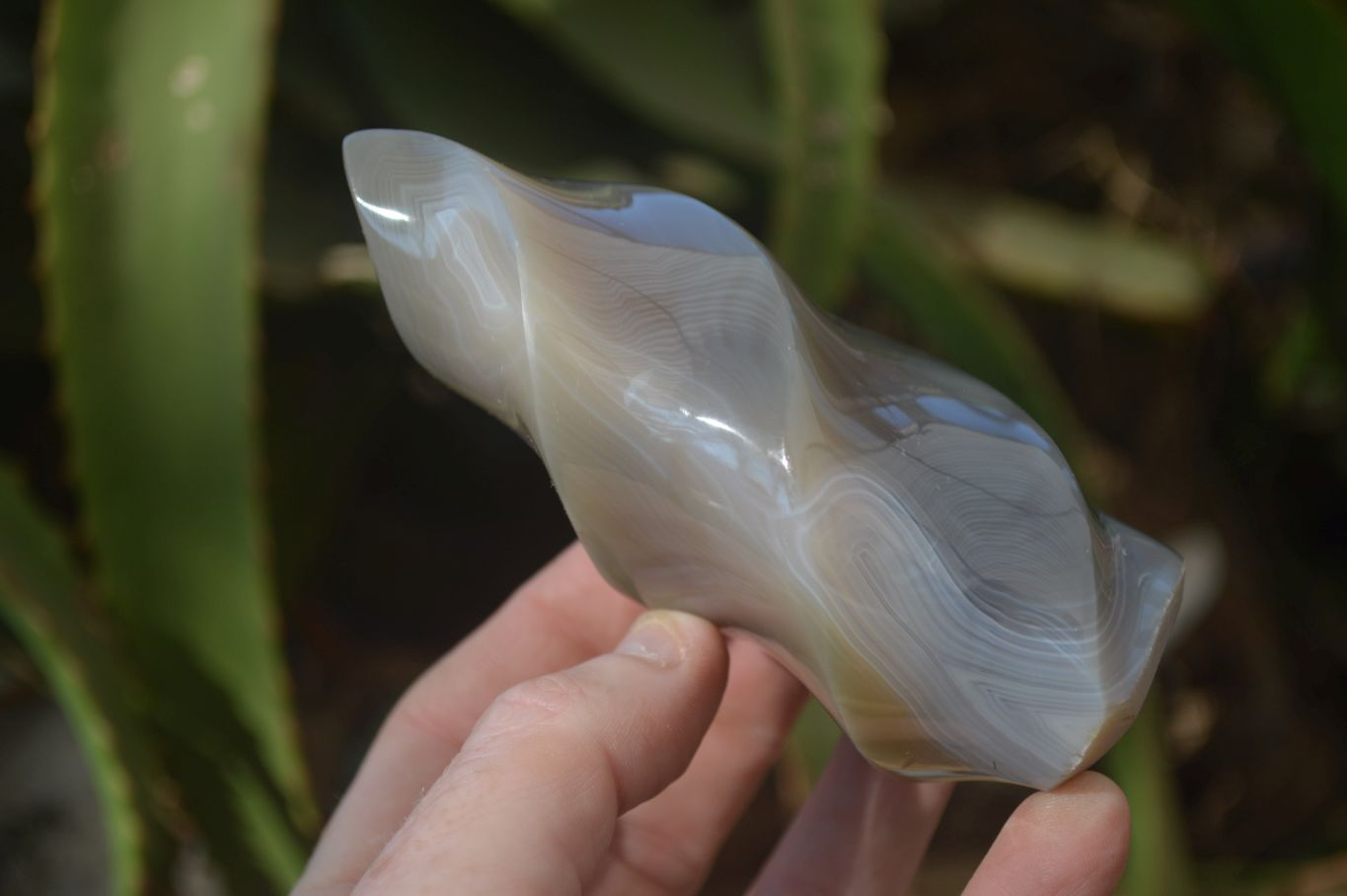 Polished Banded Agate Flames  x 6 From West Coast, Madagascar - Toprock Gemstones and Minerals 