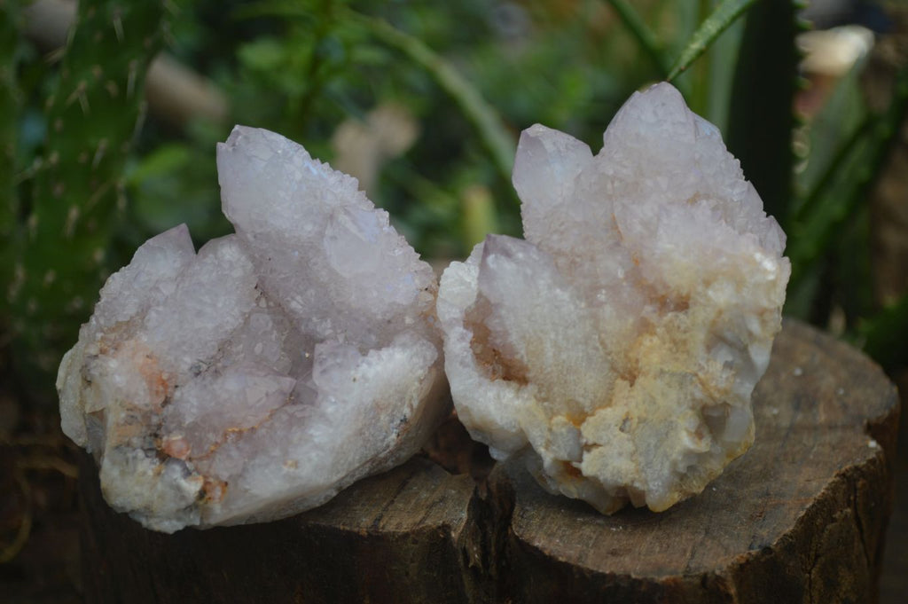 Natural Spirit Amethyst / Ametrine Quartz Clusters  x 6 From Boekenhouthoek, South Africa - Toprock Gemstones and Minerals 