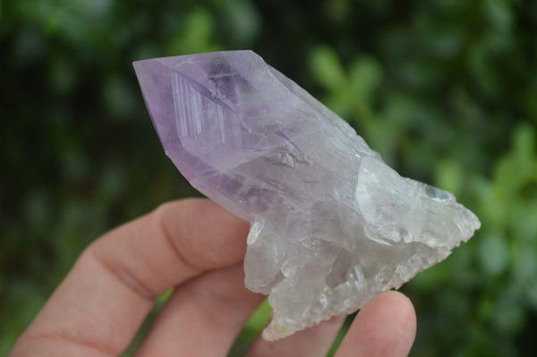 Natural Single Jacaranda Amethyst Crystals  x 12 From Zambia - Toprock Gemstones and Minerals 