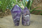 Polished Chevron Amethyst Points  x 2 From Zambia - Toprock Gemstones and Minerals 