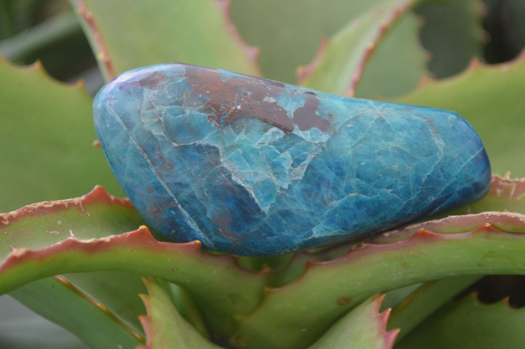 Polished Blue Shattuckite Free Forms  x 6 From Kaokoveld, Namibia - Toprock Gemstones and Minerals 