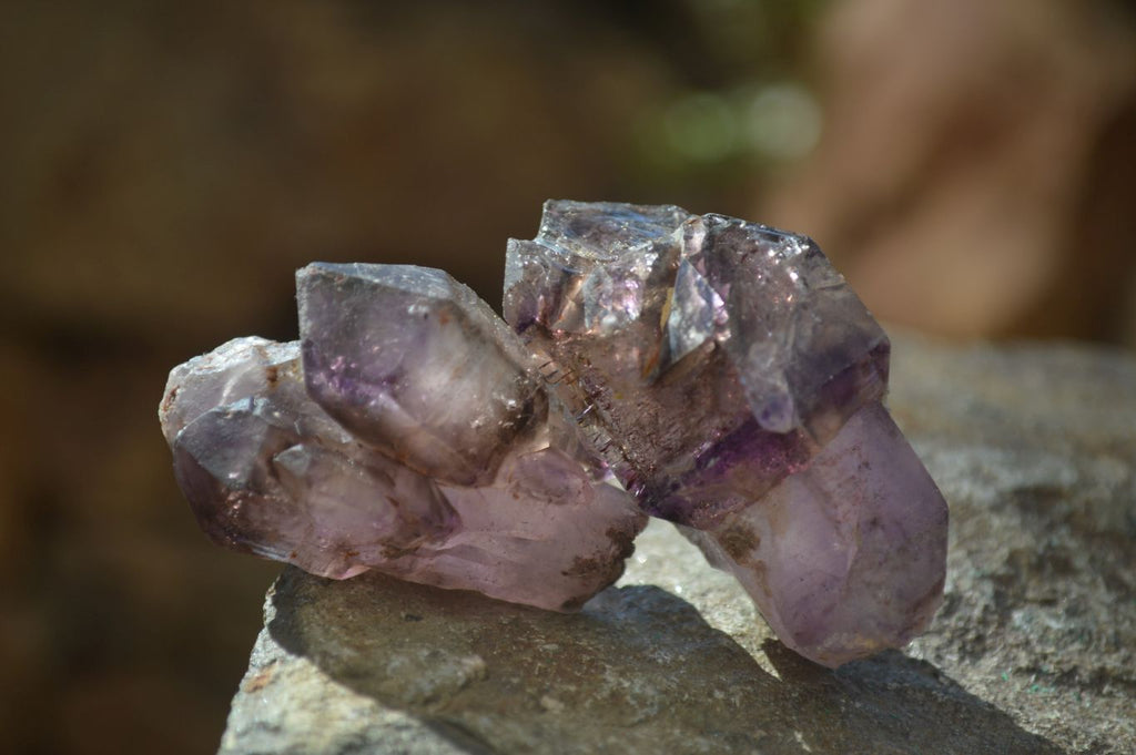 Natural Window Amethyst Crystals  x 12 From Chiredzi, Zimbabwe - Toprock Gemstones and Minerals 