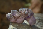 Natural Window Amethyst Crystals  x 12 From Chiredzi, Zimbabwe - Toprock Gemstones and Minerals 