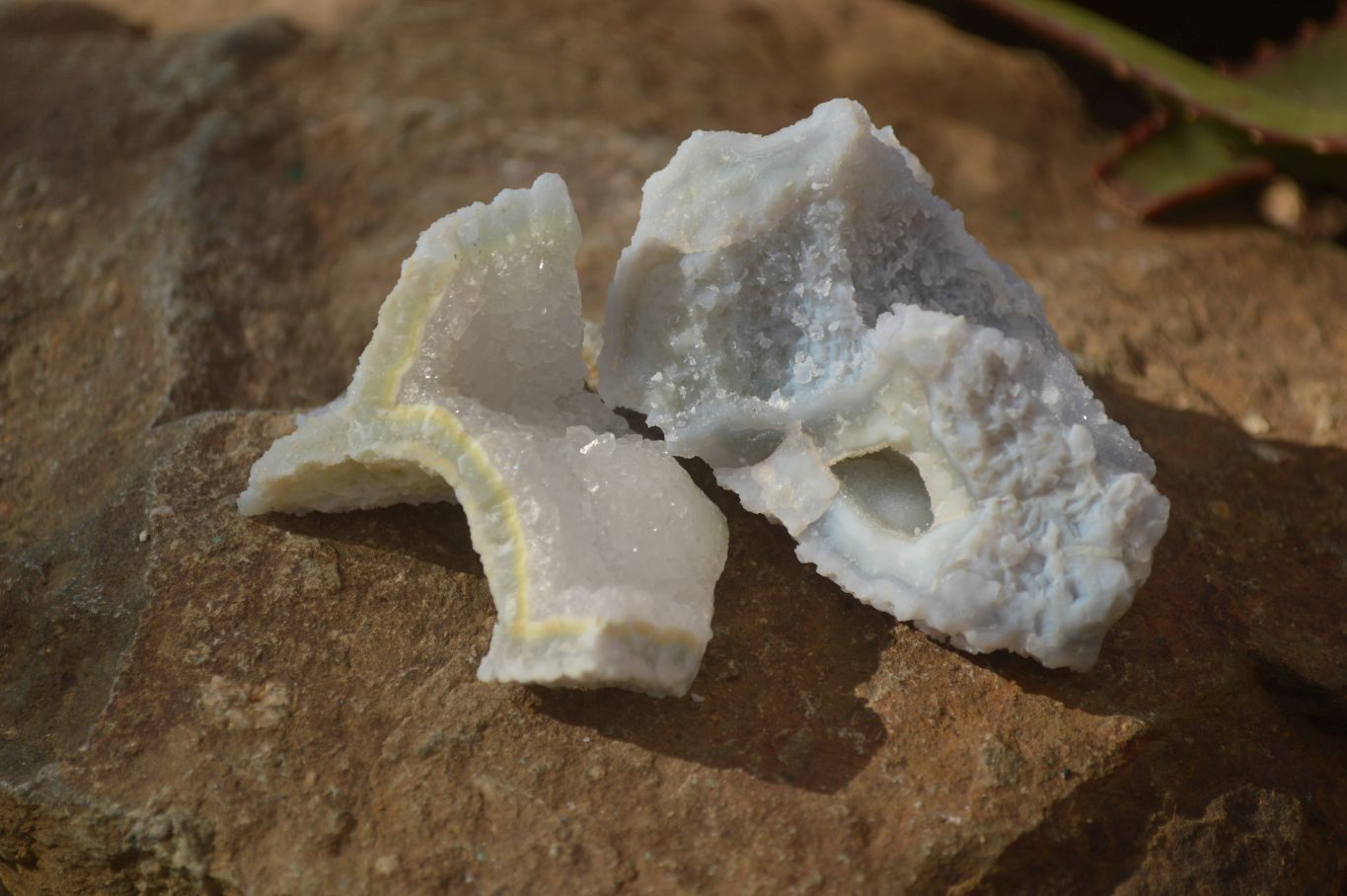 Natural Etched Blue Chalcedony Specimens x 35 From Nsanje, Malawi - Toprock Gemstones and Minerals 
