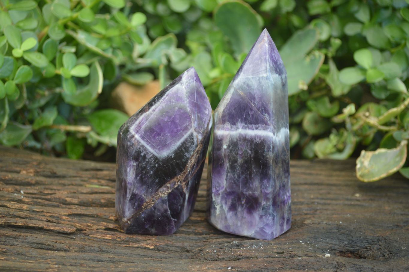 Polished Dark Chevron Amethyst Points  x 2 From Zambia - Toprock Gemstones and Minerals 