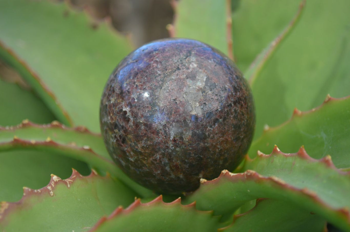 Polished Red Pyrope Garnet Matrix Spheres  x 6 From Madagascar - Toprock Gemstones and Minerals 
