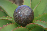 Polished Red Pyrope Garnet Matrix Spheres  x 6 From Madagascar - Toprock Gemstones and Minerals 