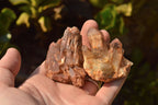 Natural Single Red Hematoid Phantom Quartz Crystals  x 35 From Karoi, Zimbabwe - TopRock