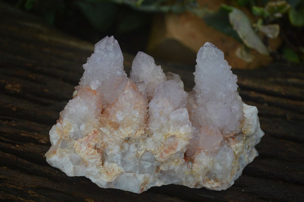 Natural Spirit Amethyst / Ametrine Quartz Clusters  x 6 From Boekenhouthoek, South Africa - Toprock Gemstones and Minerals 