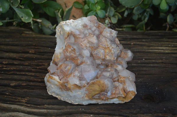 Natural Red Hematoid Quartz Cluster x 1 From Karoi, Zimbabwe - Toprock Gemstones and Minerals 