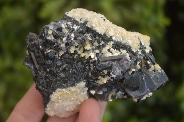 Natural Schorl Black Tourmaline Specimens x 6 From Erongo, Namibia - Toprock Gemstones and Minerals 