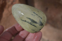 Polished Spotted Leopard Stone Free Forms  x 4 From Zimbabwe - Toprock Gemstones and Minerals 