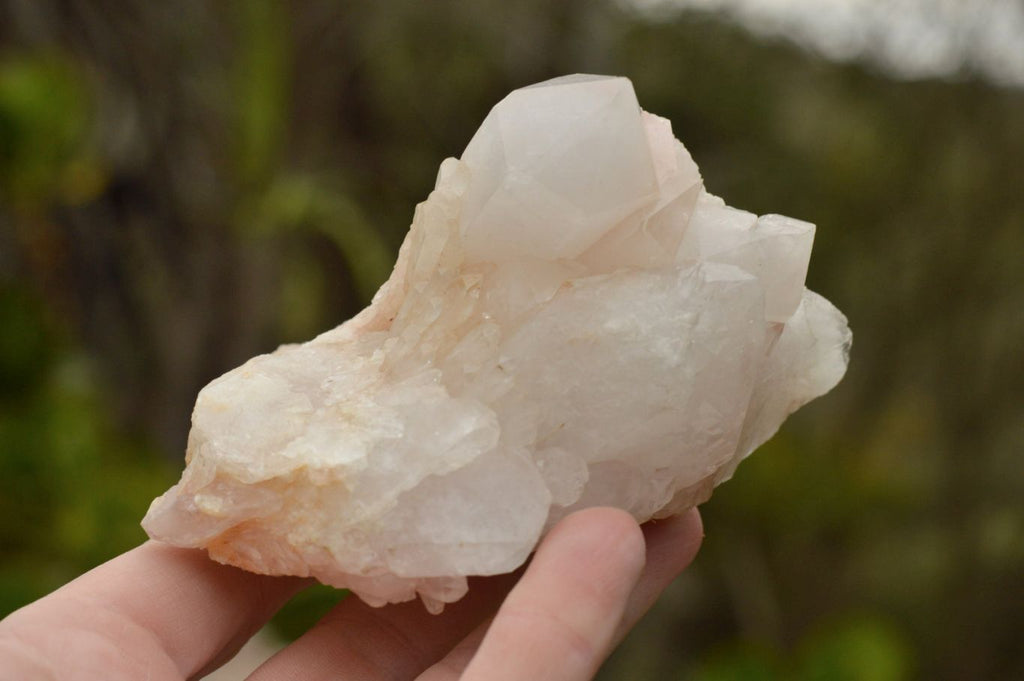 Natural Affordable White Quartz Clusters x 5 From Madagascar - TopRock