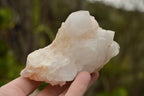Natural Affordable White Quartz Clusters x 5 From Madagascar - TopRock