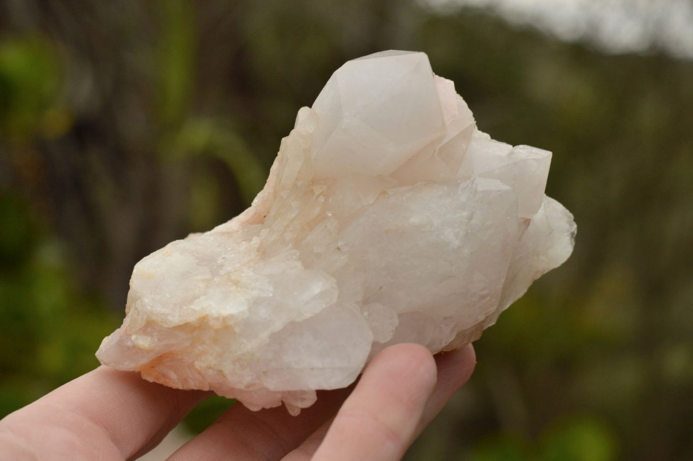 Natural Affordable White Quartz Clusters x 5 From Madagascar - TopRock