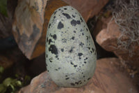 Polished Spotted Leopard Stone Free Forms  x 4 From Zimbabwe - Toprock Gemstones and Minerals 