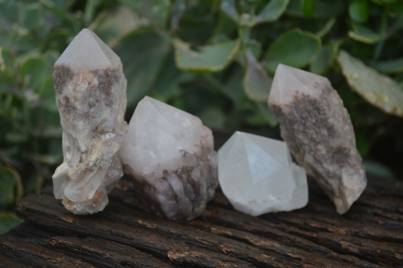 Natural Pineapple Candle Quartz Crystals  x 35 From Antsirabe, Madagascar - Toprock Gemstones and Minerals 