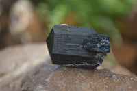 Natural Schorl Black Tourmaline Specimens  x 27 From Erongo, Namibia - Toprock Gemstones and Minerals 