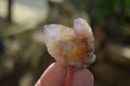 Natural Spirit Ametrine Quartz Crystals x 20 From Boekenhouthoek, South Africa - Toprock Gemstones and Minerals 