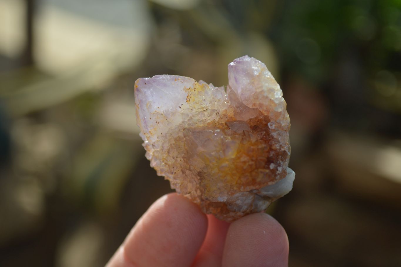 Natural Spirit Ametrine Quartz Crystals x 20 From Boekenhouthoek, South Africa - Toprock Gemstones and Minerals 