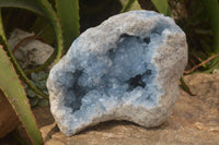 Natural Blue Celestite Geode Specimen  x 1 From Sakoany, Madagascar - Toprock Gemstones and Minerals 