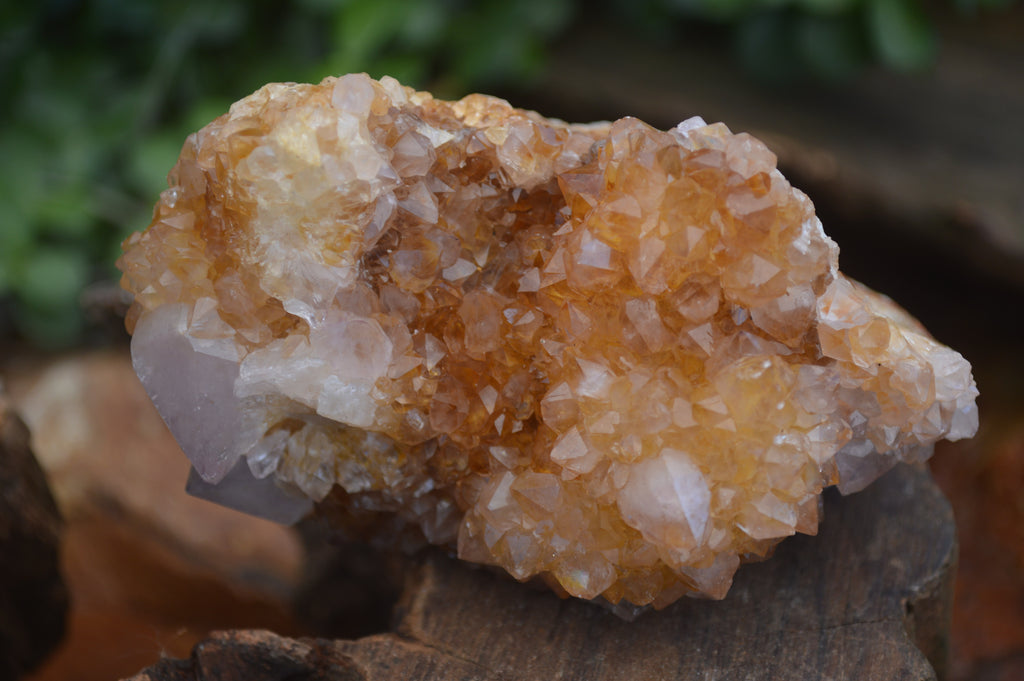 Natural Mix of Quartz Crystal Clusters x 6 From Southern Africa