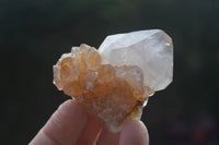 Natural Small Spirit Ametrine Quartz Clusters  x 12 From Boekenhouthoek, South Africa - Toprock Gemstones and Minerals 