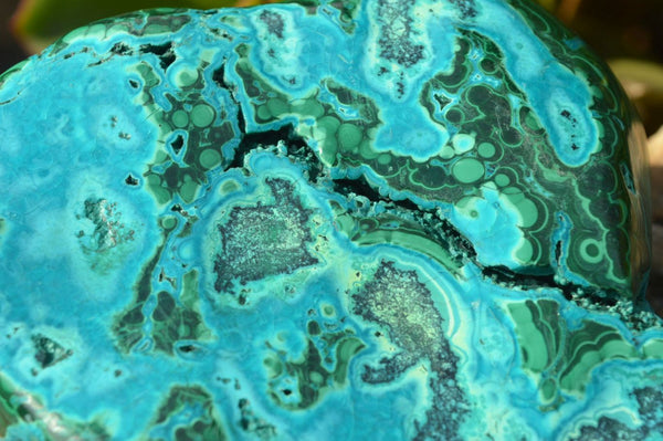 Polished Malacholla 