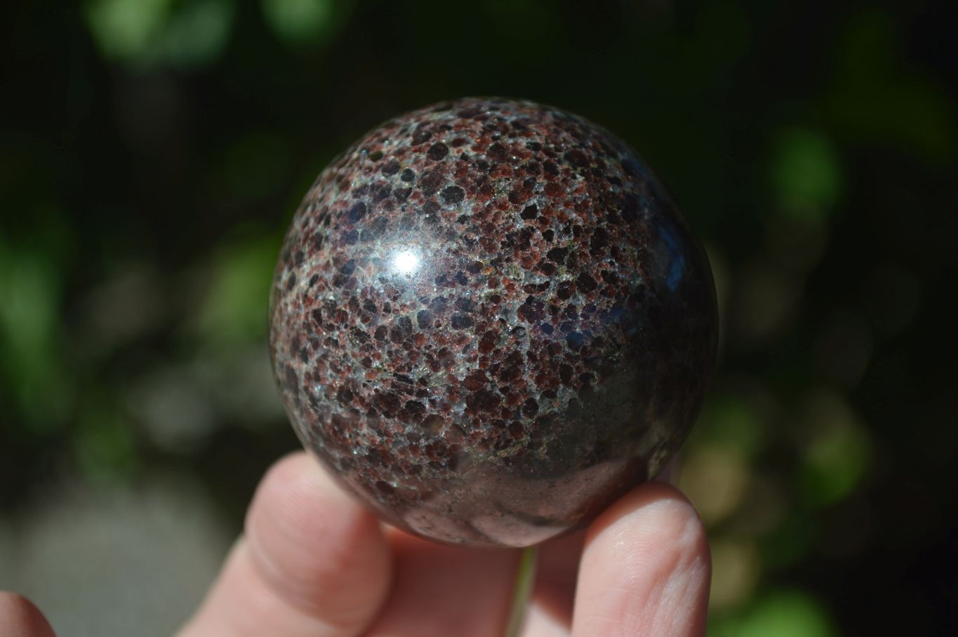 Polished Red Pyrope Garnet Matrix Spheres  x 6 From Madagascar - Toprock Gemstones and Minerals 