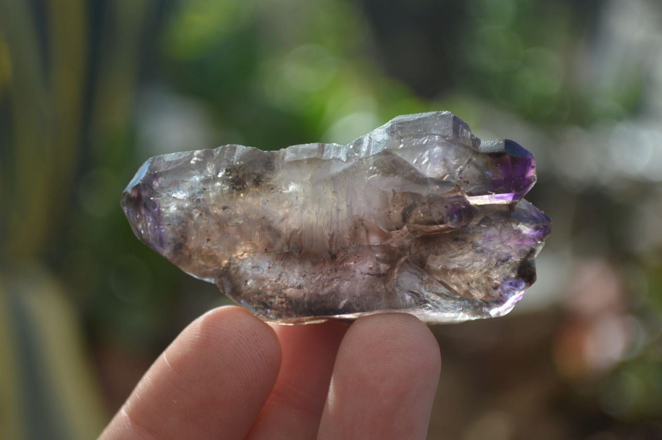 Natural Window Amethyst Crystals  x 12 From Chiredzi, Zimbabwe - Toprock Gemstones and Minerals 