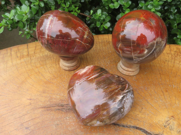 Polished Petrified Wood Egg, Sphere & Heart x 3 From Mahajanga, Madagascar - TopRock