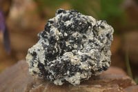 Natural Schorl Black Tourmaline Specimens x 6 From Erongo, Namibia - Toprock Gemstones and Minerals 