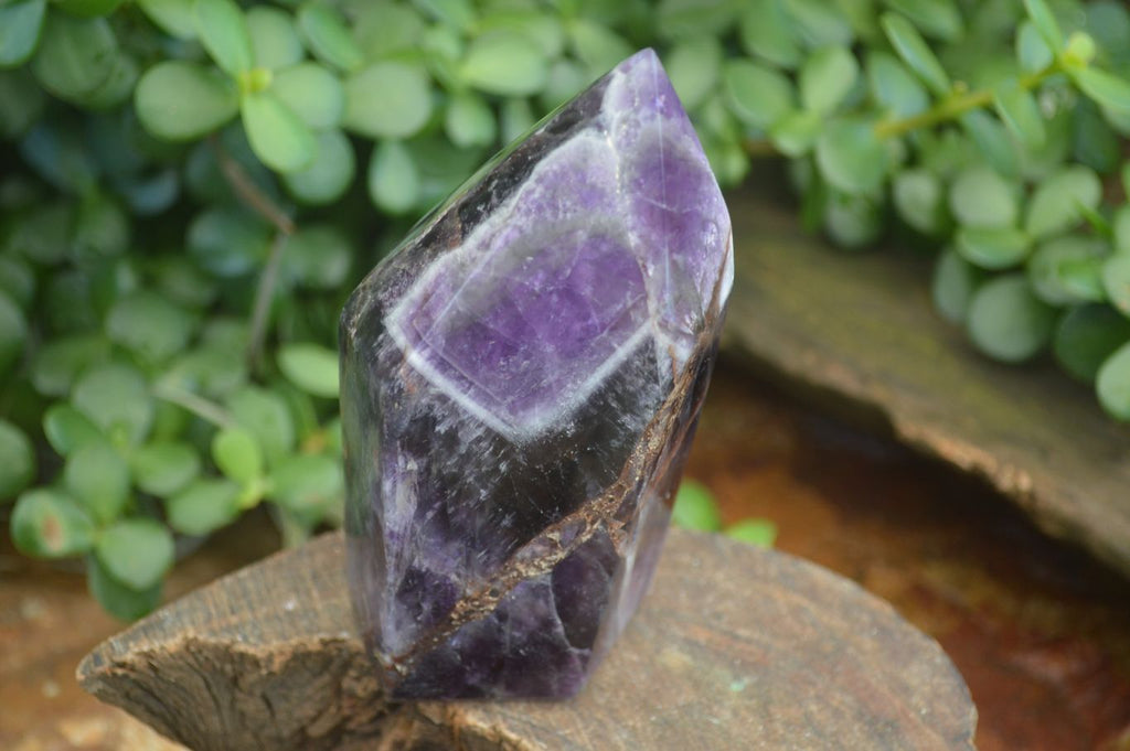Polished Dark Chevron Amethyst Points  x 2 From Zambia - Toprock Gemstones and Minerals 