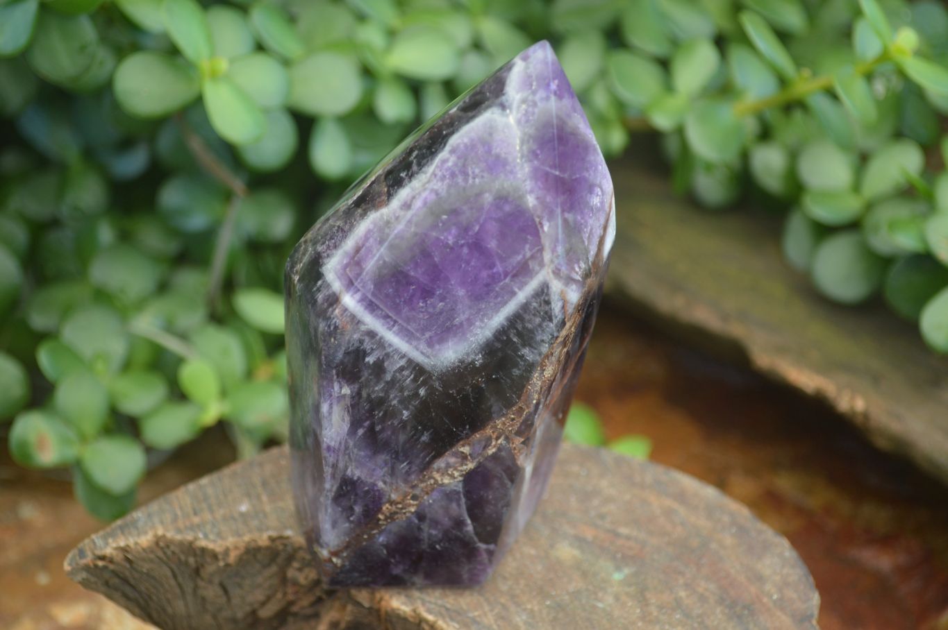 Polished Dark Chevron Amethyst Points  x 2 From Zambia - Toprock Gemstones and Minerals 