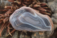 Polished River Agate Nodules  x 6 From Sashe River, Zimbabwe - Toprock Gemstones and Minerals 