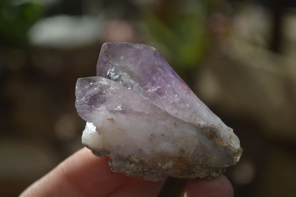 Natural Window Amethyst Crystals  x 12 From Chiredzi, Zimbabwe - Toprock Gemstones and Minerals 