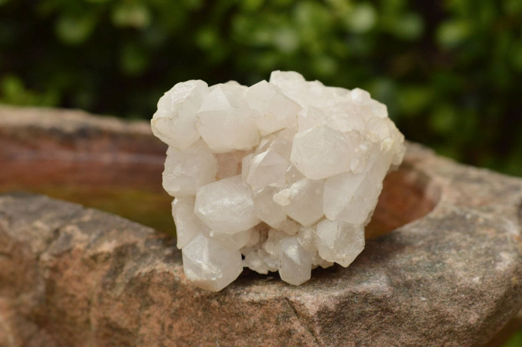 Natural Affordable White Quartz Clusters x 5 From Madagascar - TopRock