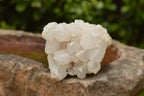 Natural Affordable White Quartz Clusters x 5 From Madagascar - TopRock