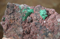 Natural Pink Salrose Cobaltion Dolomite Specimens x 6 From Kakanda, Congo - Toprock Gemstones and Minerals 