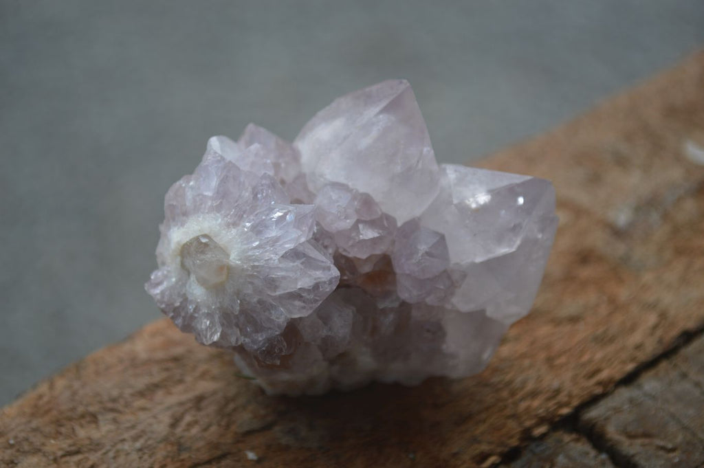 Natural Small Spirit Ametrine Quartz Clusters  x 12 From Boekenhouthoek, South Africa - Toprock Gemstones and Minerals 