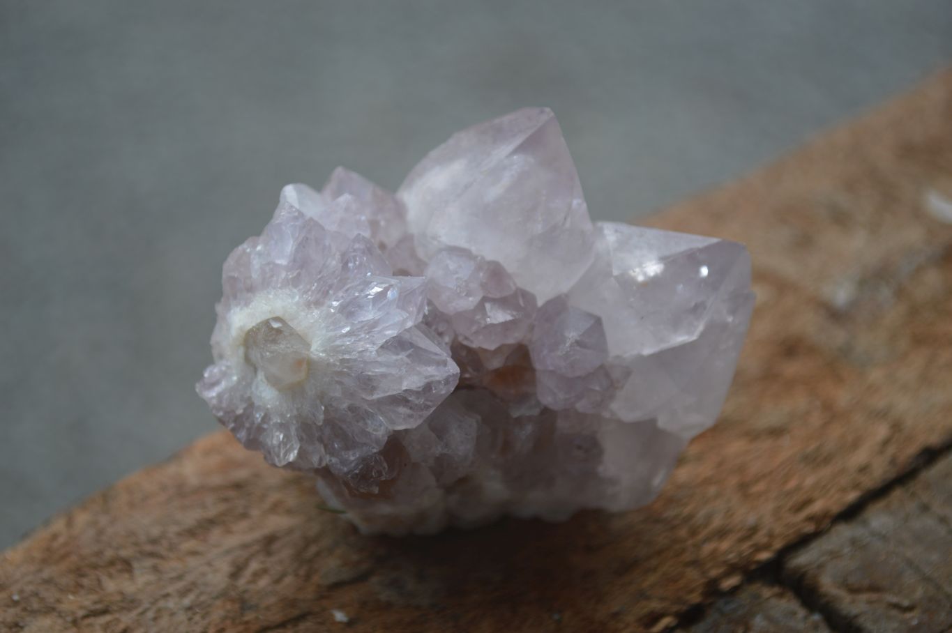 Natural Small Spirit Ametrine Quartz Clusters  x 12 From Boekenhouthoek, South Africa - Toprock Gemstones and Minerals 