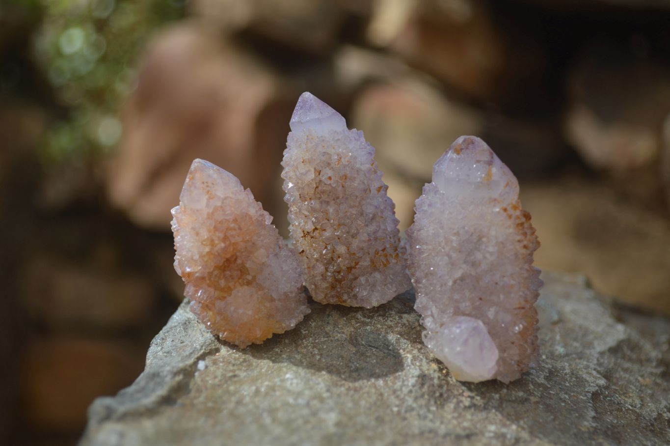 Natural Spirit Ametrine Quartz Crystals x 20 From Boekenhouthoek, South Africa - Toprock Gemstones and Minerals 
