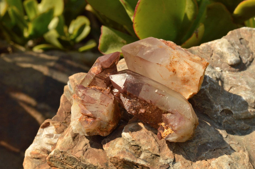 Natural Single Red Hematoid Phantom Quartz Crystals  x 35 From Karoi, Zimbabwe - TopRock