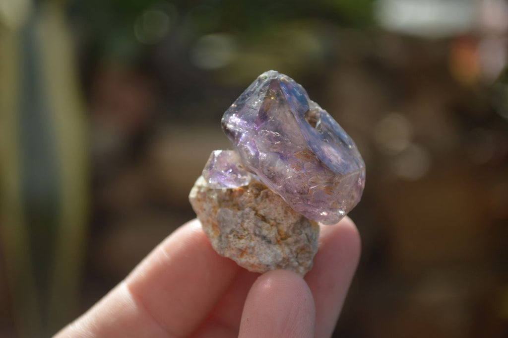 Natural Window Amethyst Crystals  x 12 From Chiredzi, Zimbabwe - Toprock Gemstones and Minerals 