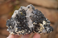 Natural Schorl Black Tourmaline Specimens x 6 From Erongo, Namibia - Toprock Gemstones and Minerals 