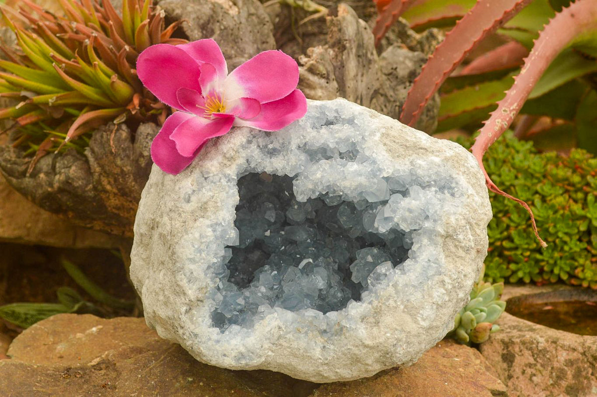 Natural Blue Celestite Geode Specimen  x 1 From Sakoany, Madagascar - TopRock