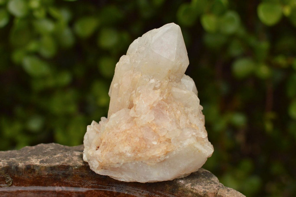 Natural Affordable White Quartz Clusters x 5 From Madagascar - TopRock